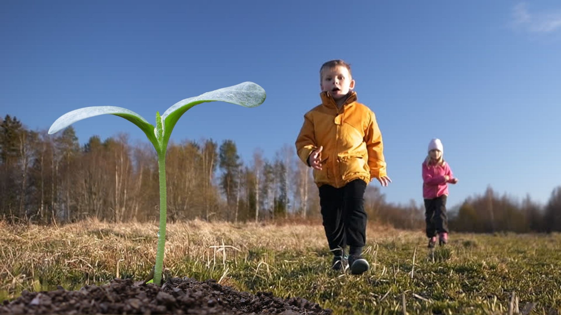 pomóż nam CZYNIĆ DOBRO wpłać 1,5% podatku na KRS:0000386395
